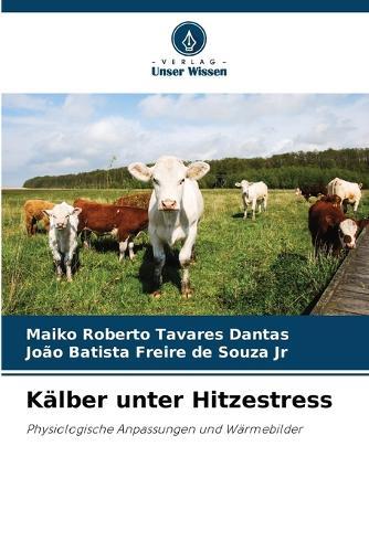 Kälber unter Hitzestress