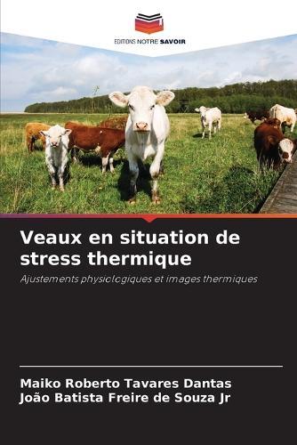 Veaux en situation de stress thermique
