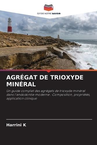 Agrégat de Trioxyde Minéral