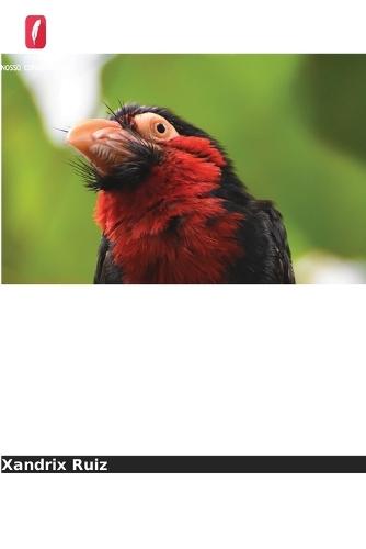 Exigências Ecológicas Das Aves E DOS Mamíferos NAS Zonas Inundáveis