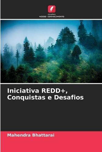 Iniciativa REDD+, Conquistas e Desafios