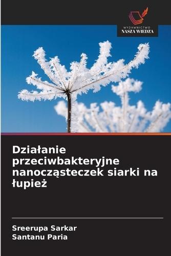 Dzialanie przeciwbakteryjne nanocz&#261;steczek siarki na lupie&#380;