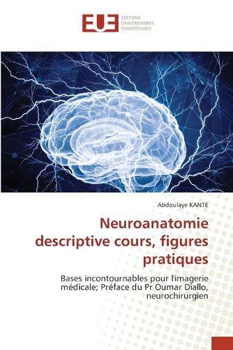 Neuroanatomie descriptive cours, figures pratiques