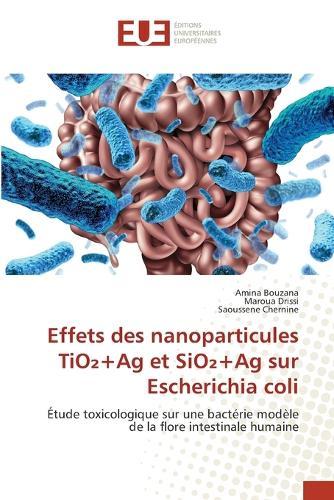 Effets des nanoparticules TiO₂+Ag et SiO₂+Ag sur Escherichia coli