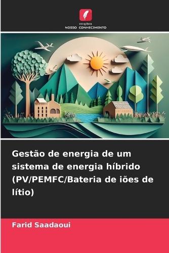 Gestão de energia de um sistema de energia híbrido (PV/PEMFC/Bateria de iões de lítio)