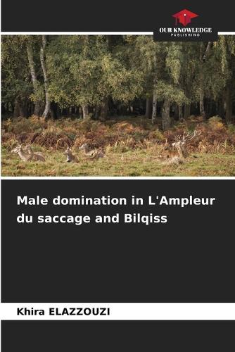 Male domination in L'Ampleur du saccage and Bilqiss