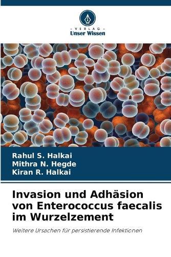 Invasion und Adhäsion von Enterococcus faecalis im Wurzelzement