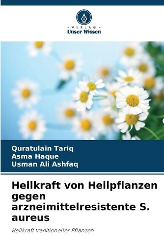 Heilkraft von Heilpflanzen gegen arzneimittelresistente S. aureus