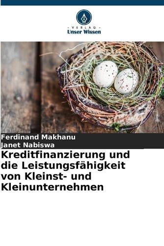 Kreditfinanzierung und die Leistungsfähigkeit von Kleinst- und Kleinunternehmen