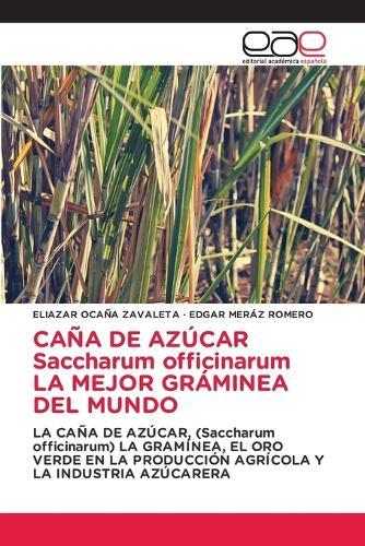 CAÑA DE AZÚCAR Saccharum officinarum LA MEJOR GRÁMINEA DEL MUNDO