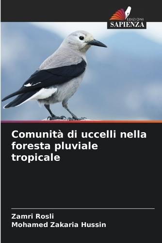 Comunità di uccelli nella foresta pluviale tropicale