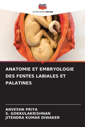Anatomie Et Embryologie Des Fentes Labiales Et Palatines