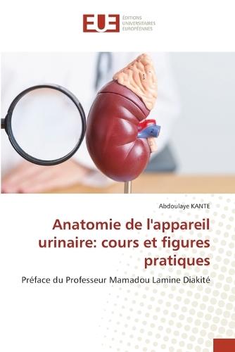 Anatomie de l'appareil urinaire: cours et figures pratiques