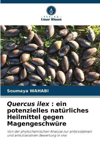 Quercus ilex: ein potenzielles natürliches Heilmittel gegen Magengeschwüre