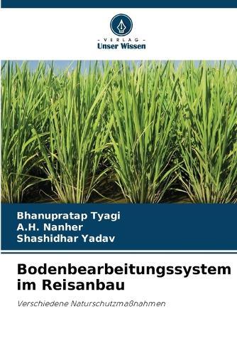 Bodenbearbeitungssystem im Reisanbau