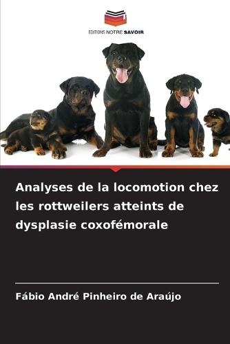 Analyses de la locomotion chez les rottweilers atteints de dysplasie coxofémorale