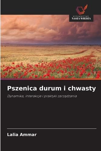 Pszenica durum i chwasty