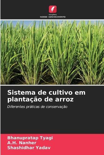 Sistema de cultivo em plantação de arroz