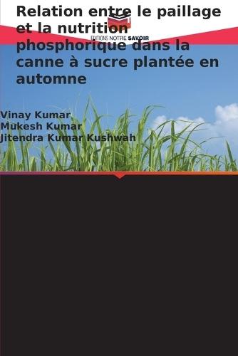 Relation entre le paillage et la nutrition phosphorique dans la canne à sucre plantée en automne