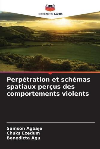 Perpétration et schémas spatiaux perçus des comportements violents