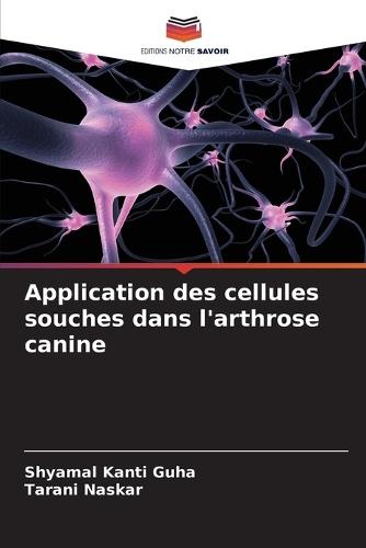 Application des cellules souches dans l'arthrose canine