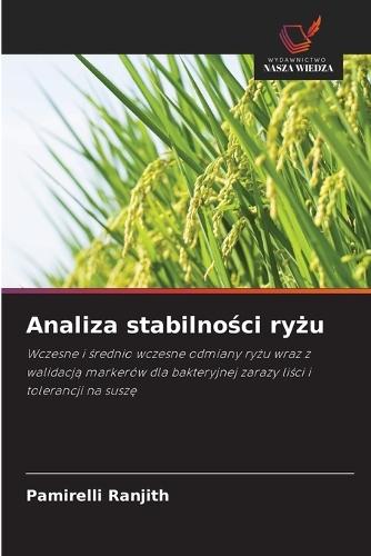 Analiza stabilno&#347;ci ry&#380;u