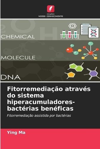 Fitorremediação através do sistema hiperacumuladores-bactérias benéficas
