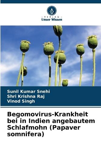 Begomovirus-Krankheit bei in Indien angebautem Schlafmohn (Papaver somnifera)