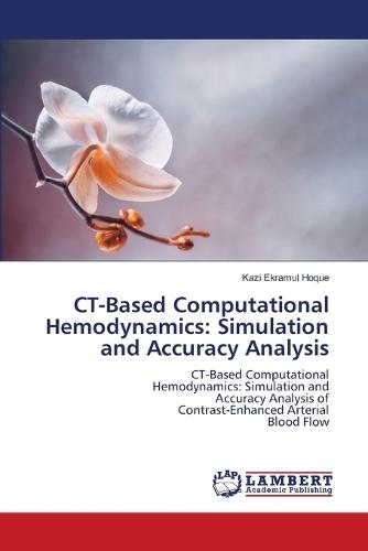 CT-Based Computational Hemodynamics: Simulation and Accuracy Analysis