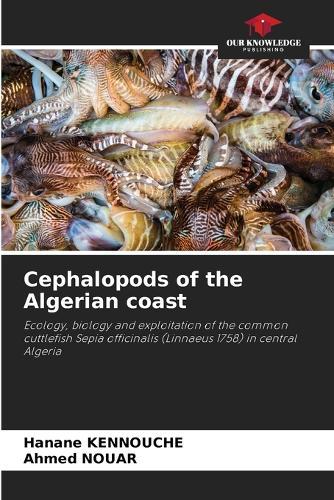 Cephalopods of the Algerian coast