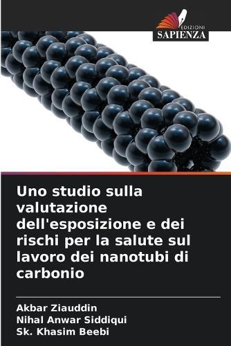 Uno studio sulla valutazione dell'esposizione e dei rischi per la salute sul lavoro dei nanotubi di carbonio