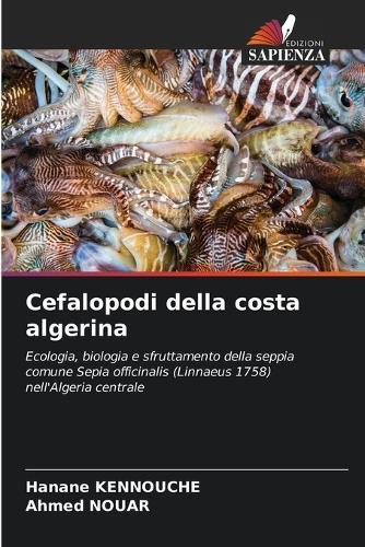 Cefalopodi della costa algerina