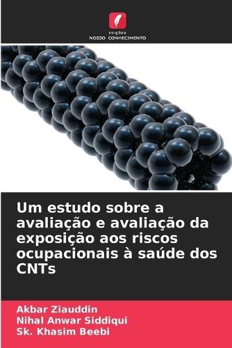 Um estudo sobre a avaliação e avaliação da exposição aos riscos ocupacionais à saúde dos CNTs