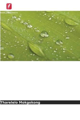 Aplicando a biomimética para projetar um modelo de cadeia de abastecimento sustentável