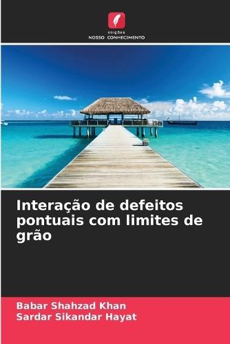 Interação de defeitos pontuais com limites de grão