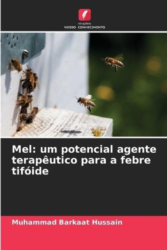 Mel: um potencial agente terapêutico para a febre tifóide