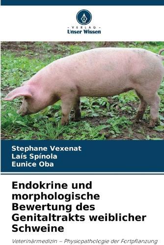 Endokrine und morphologische Bewertung des Genitaltrakts weiblicher Schweine