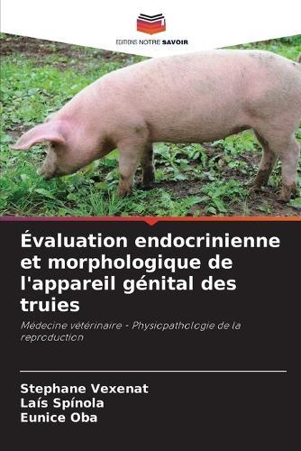 Évaluation endocrinienne et morphologique de l'appareil génital des truies