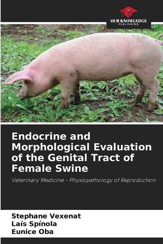 Endocrine and Morphological Evaluation of the Genital Tract of Female Swine