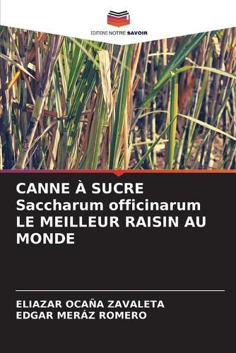 CANNE À SUCRE Saccharum officinarum LE MEILLEUR RAISIN AU MONDE