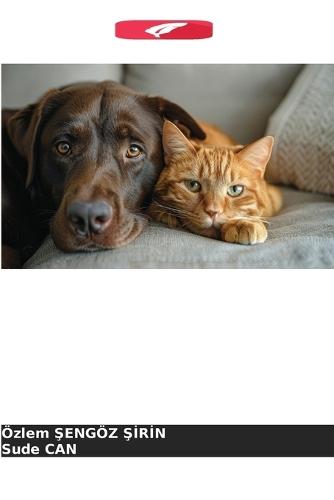 Ultrassonografia oftálmica em gatos e cães