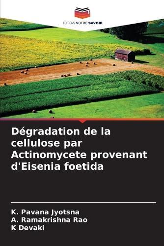 Dégradation de la cellulose par Actinomycete provenant d'Eisenia foetida