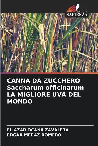 CANNA DA ZUCCHERO Saccharum officinarum LA MIGLIORE UVA DEL MONDO