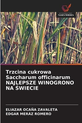 Trzcina cukrowa Saccharum officinarum NAJLEPSZE WINOGRONO NA ŚWIECIE
