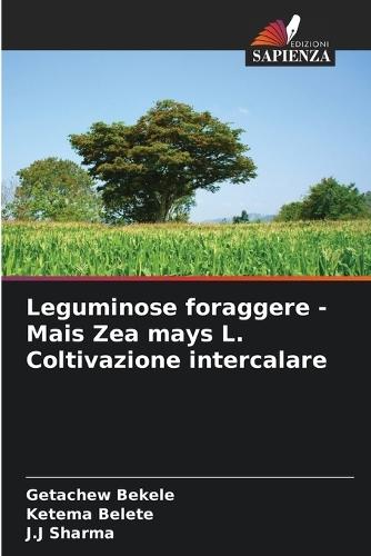 Leguminose foraggere - Mais Zea mays L. Coltivazione intercalare