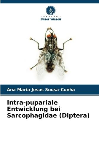 Intra-pupariale Entwicklung bei Sarcophagidae (Diptera)