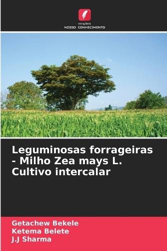 Leguminosas forrageiras - Milho Zea mays L. Cultivo intercalar