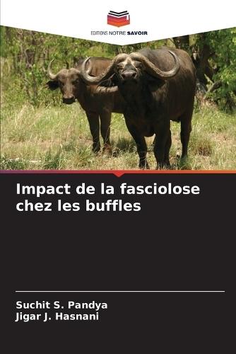 Impact de la fasciolose chez les buffles