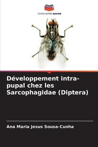 Développement intra-pupal chez les Sarcophagidae (Diptera)