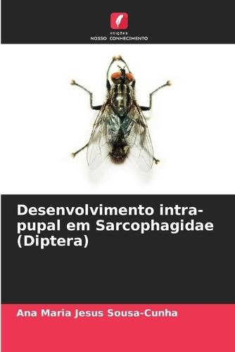 Desenvolvimento intra-pupal em Sarcophagidae (Diptera)